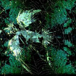 Gacys Threads : Black Heart